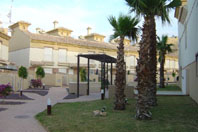 Communal Gardens